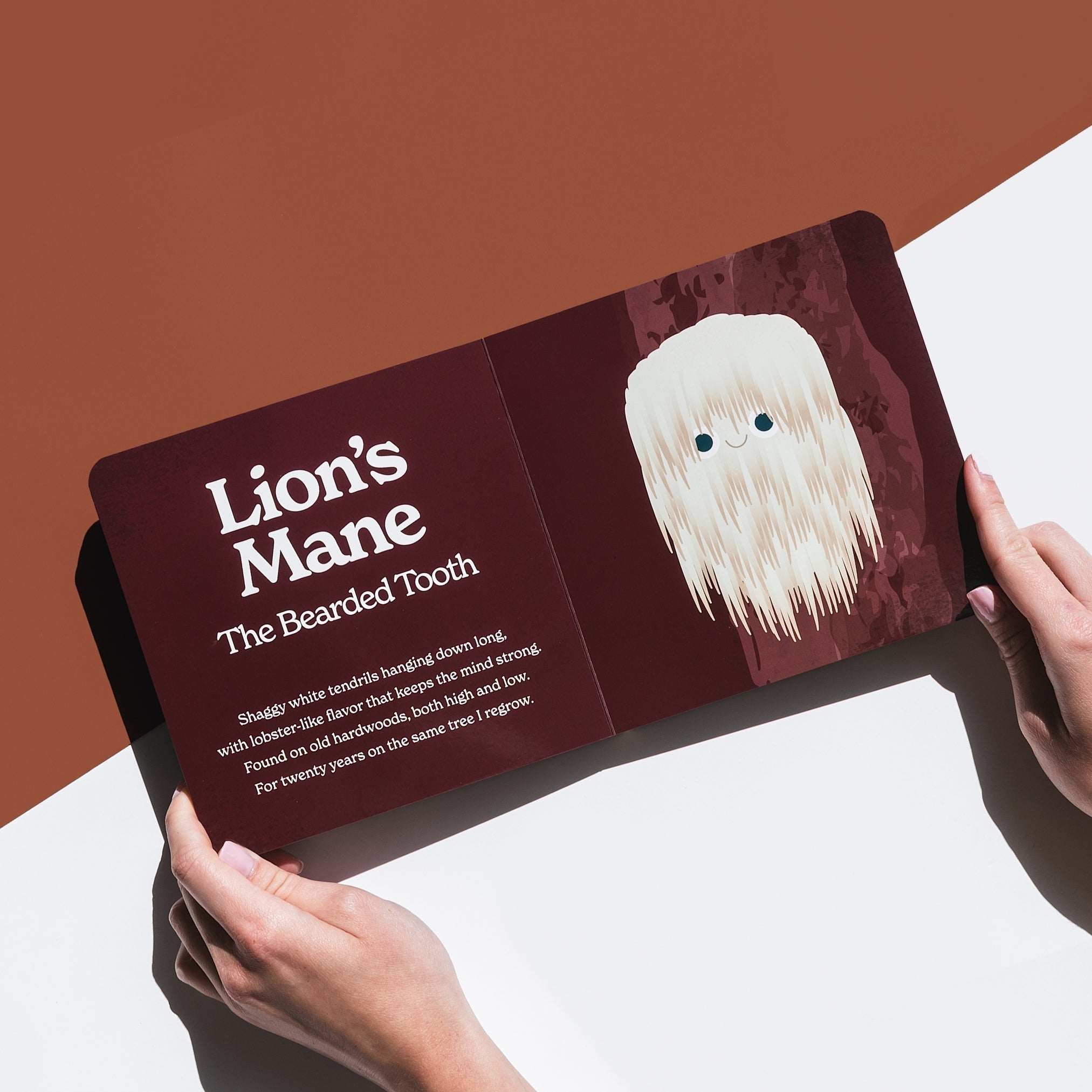 Chunky Deli product image: Open "Little Book of Fungi" displaying an illustrated Lion's Mane mushroom on a brown page, with a hand reaching for it against a white and brown background.