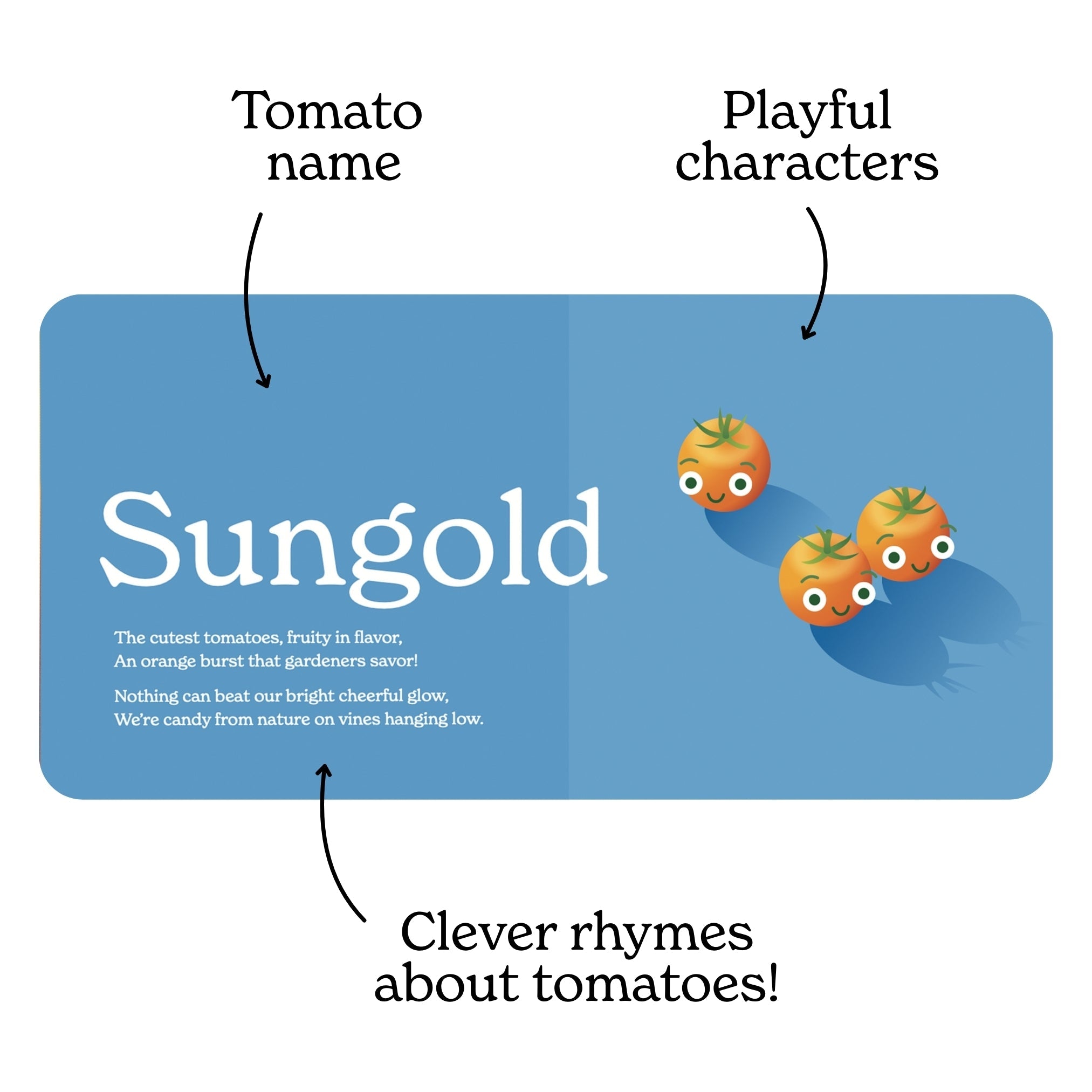 Open page of the 'Little Book of Tomatoes' board book titled featuring an illustration of Sungold tomatoes outlining the features of each page; a playful rhyme, tomato name and characters. Chunky Deli product image.