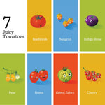 Chunky Deli Image showcasing the 7 different juicy tomato characters available in the "Little Book of Tomatoes". Beefsteak, Sungold, Indigo Rose, Pear, Roma, Green Zebra & Cherry.