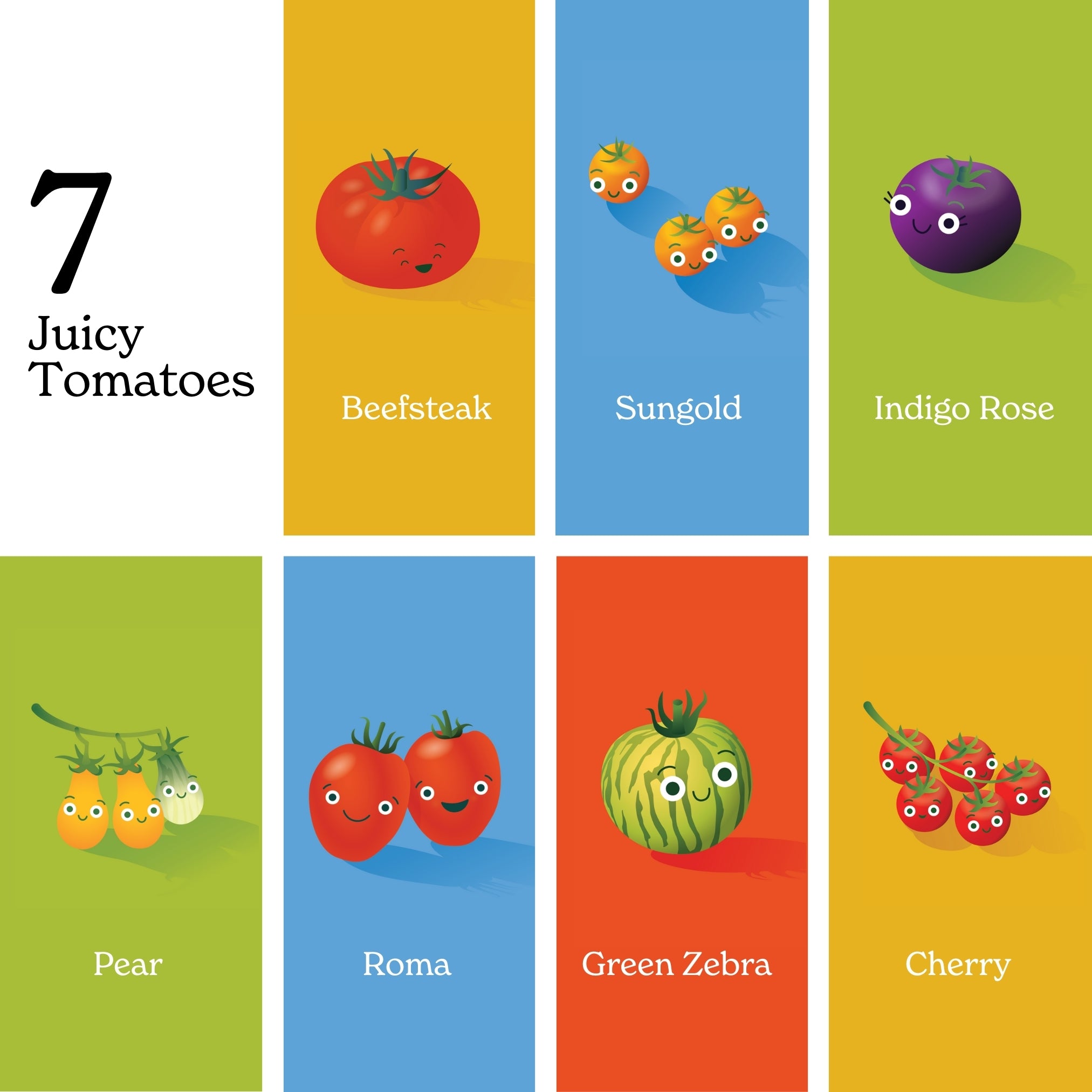 Chunky Deli Image showcasing the 7 different juicy tomato characters available in the "Little Book of Tomatoes". Beefsteak, Sungold, Indigo Rose, Pear, Roma, Green Zebra & Cherry.