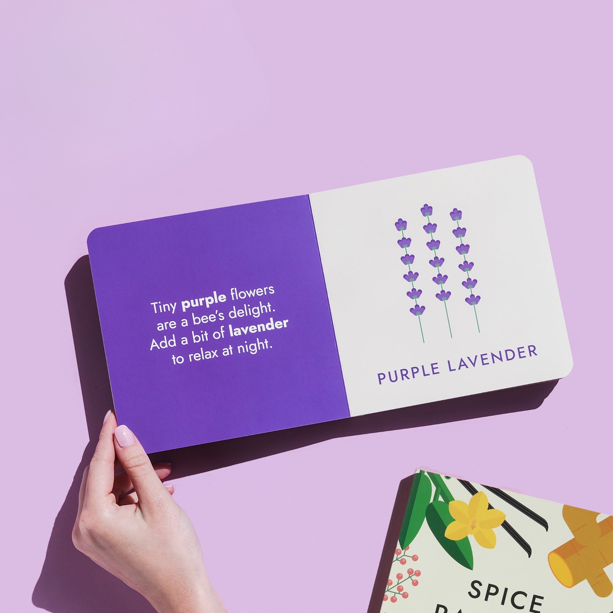 Hand holding the "Spice Rainbow" board book open to the purple lavender page, showcasing the illustration and rhyme. Purple background with one additional book in the background. Chunky Deli product image.