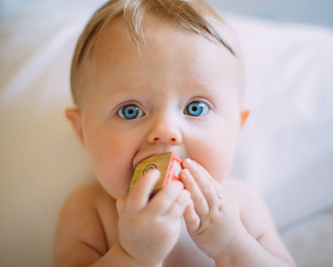 Indestructible Books for Babies to Drool Over - Chunky Deli