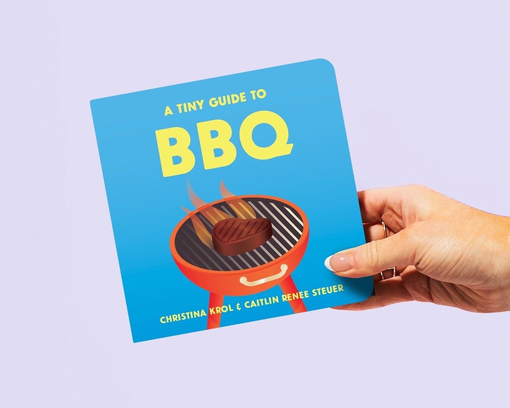 Image of the 'A Tiny Guide to BBQ' board book cover being held in a hand against a vibrant purple background. Chunky Deli product image.