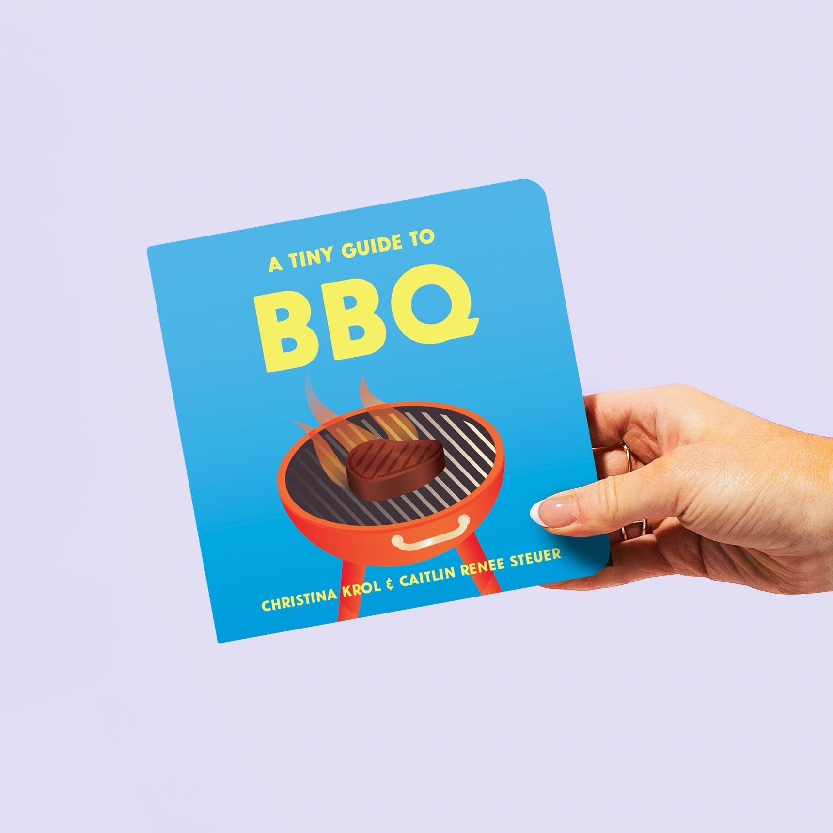 Image of the 'A Tiny Guide to BBQ' board book cover being held in a hand against a vibrant purple background. Chunky Deli product image.