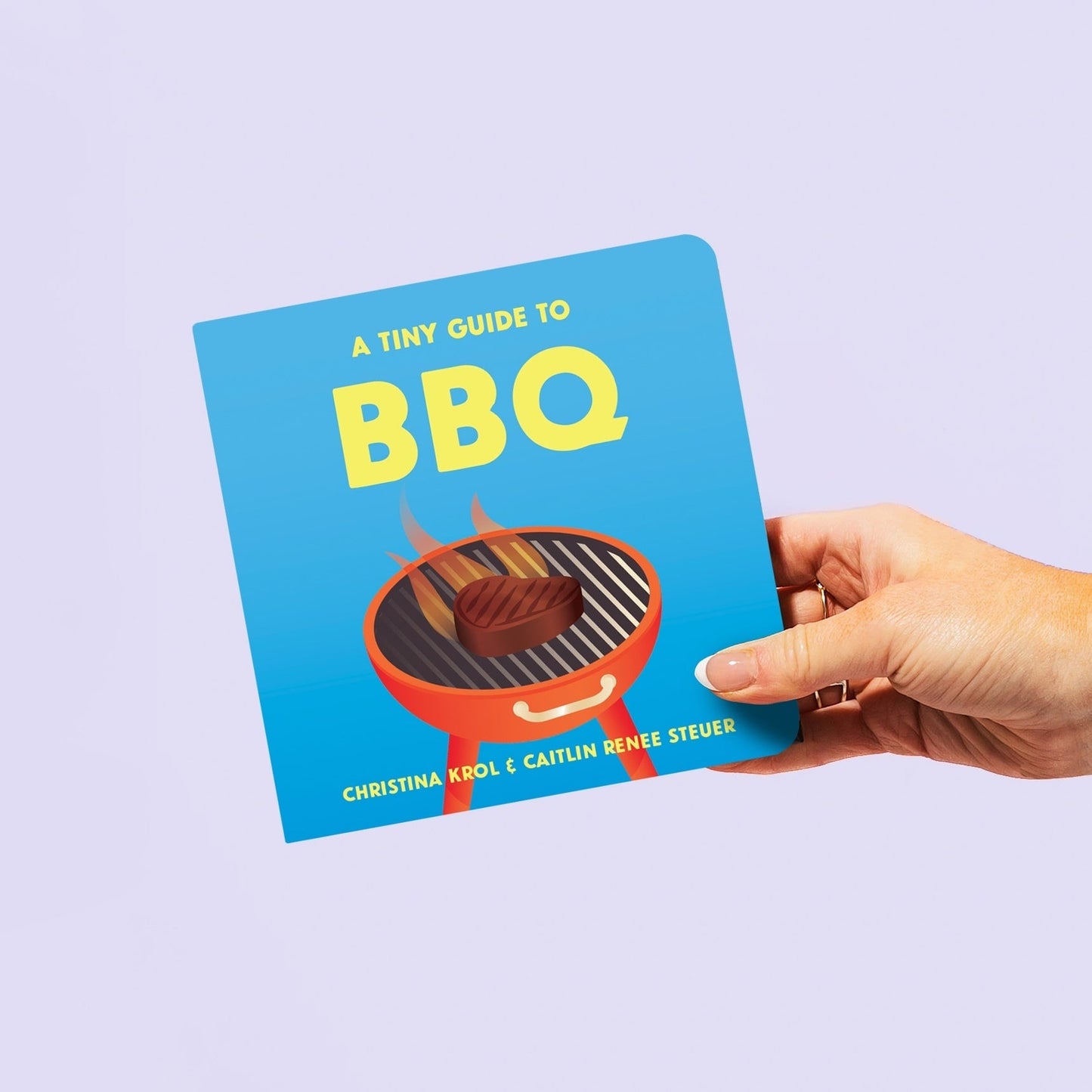 Image of the 'A Tiny Guide to BBQ' board book cover being held in a hand against a vibrant purple background. Chunky Deli product image.