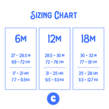  Chunky Deli sizing chart for baby bodysuit, providing dimensions in inches and centimeters for 6, 12, and 18 months, along with corresponding weight ranges in pounds and kilograms.