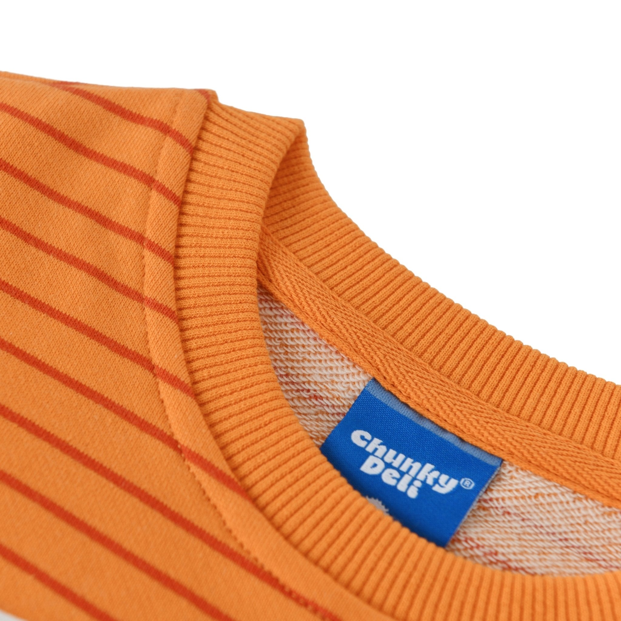 Fish Sticks Kids Crewneck Sweater featuring Chunky Deli brand label and vibrant orange stripes.