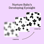Three-card diagram on a purple background showing the stages of an infant's eyesight at 0, 1, and 3 months with Garden for baby art card featured.