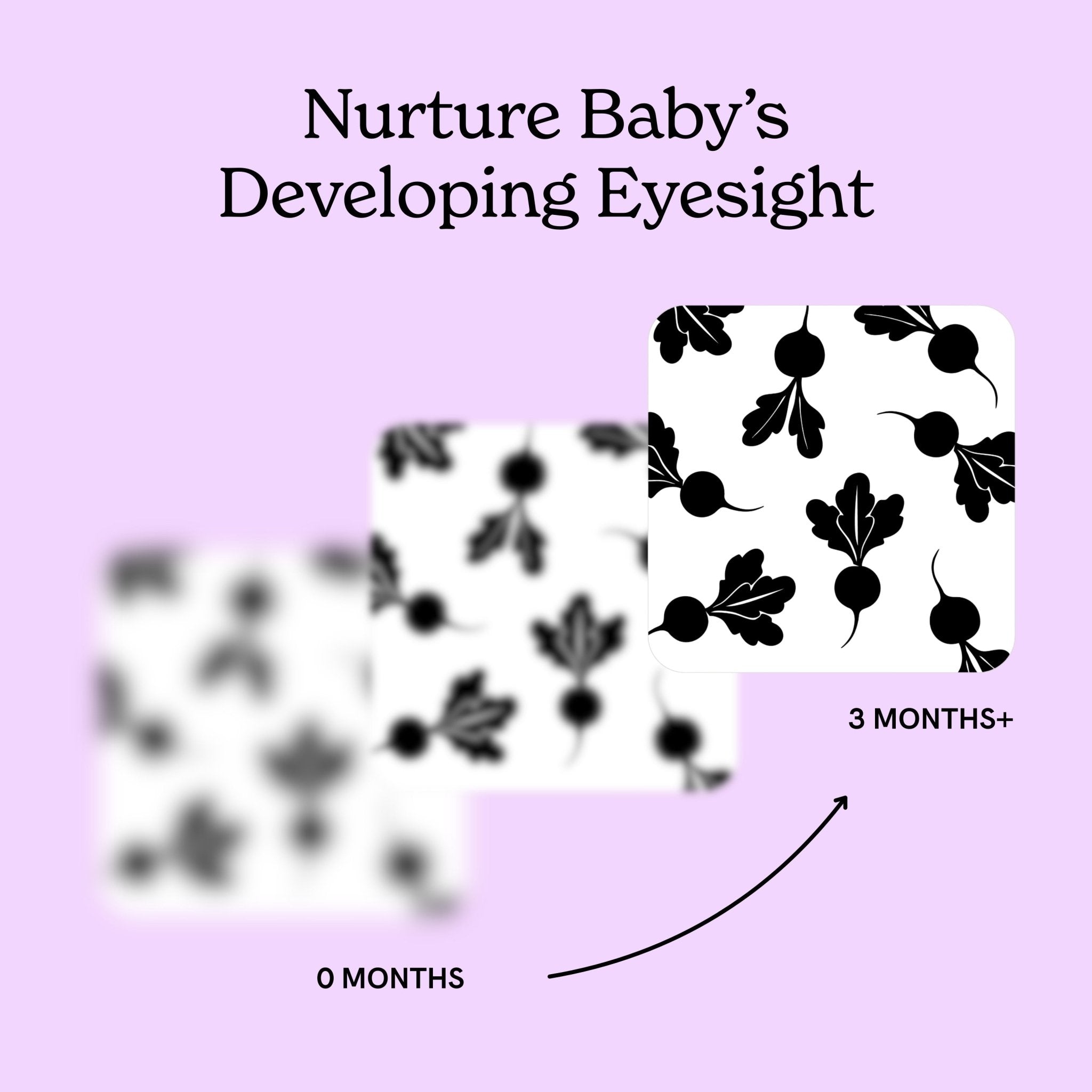 Three-card diagram on a purple background showing the stages of an infant's eyesight at 0, 1, and 3 months with Garden for baby art card featured.