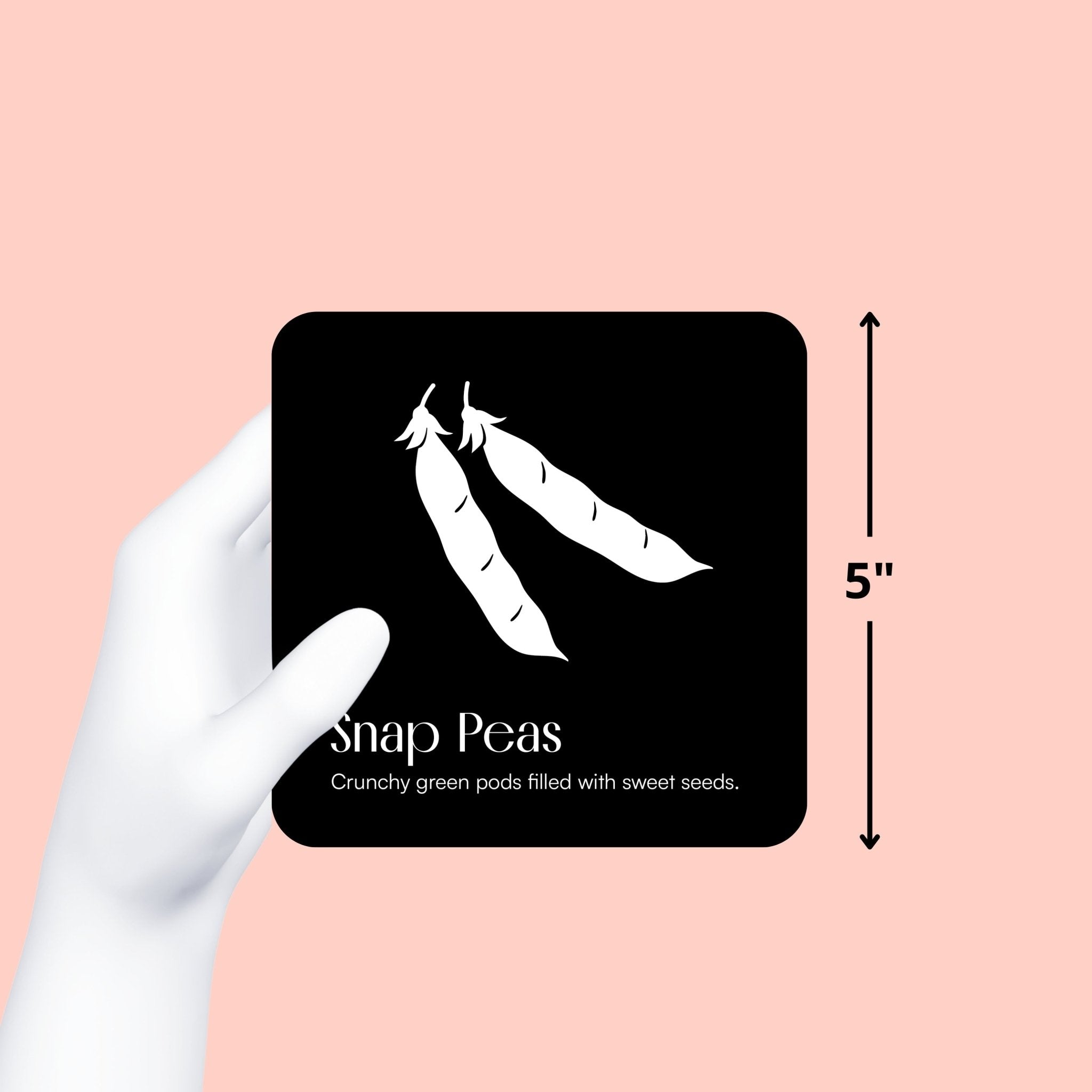 Gloved hand holds a black and white "Snap Peas" art card, showing its 5-inch size on a pink background.