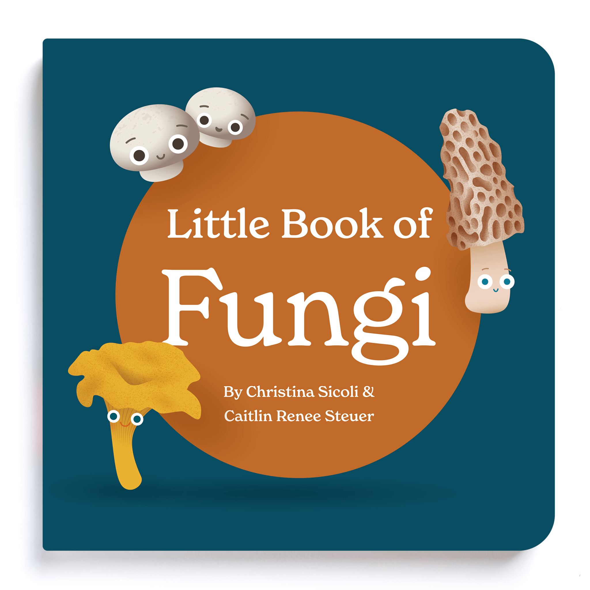 Little Book of Fungi cover