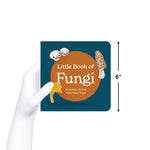 Chunky Deli product image: Hand holding "Little Book of Fungi" to demonstrate its 6x6 inch size. The cover features illustrations of button, morel, and chanterelle mushrooms.