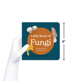 Chunky Deli product image: Hand holding "Little Book of Fungi" to demonstrate its 6x6 inch size. The cover features illustrations of button, morel, and chanterelle mushrooms.
