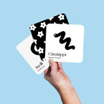 Hand holds up three art cards from the "Pasta for Baby" set on a pastel blue background. Cavatappi, Anelli and Stelline.