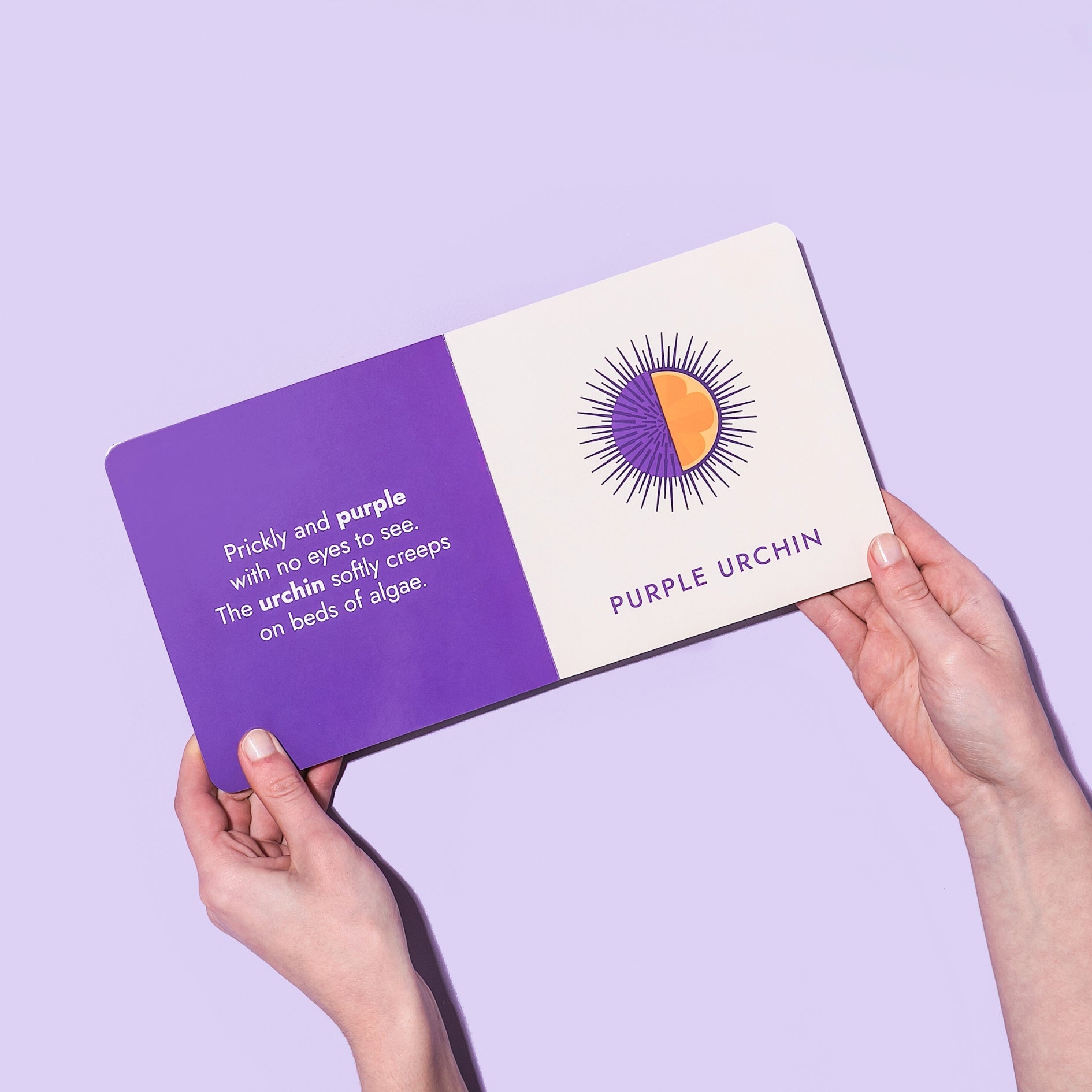  "Seafood Rainbow" by Christina Krol and Caitlin Renee Steuer is held open. The left page has a poem about a purple urchin on a purple background. The right page features an illustration and the name "PURPLE URCHIN" on a white background.