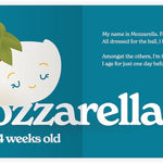 Chunky Deli product image: "Little Book of Cheese" open to the mozzarella spread, featuring an illustration of mozzarella cheese and its accompanying playful rhyme, laid flat on a white background.